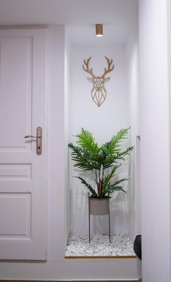 Coban Residence - A3 - Scandinavian Apartment براشوف المظهر الخارجي الصورة